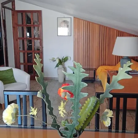 Napodano טורטורה